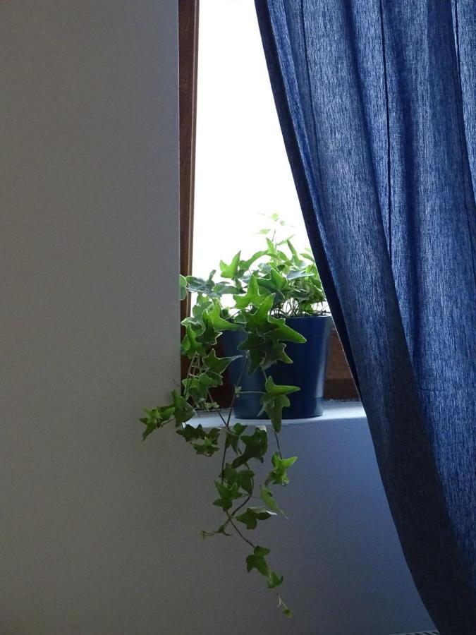 בלגרד Blue Apartment מראה חיצוני תמונה