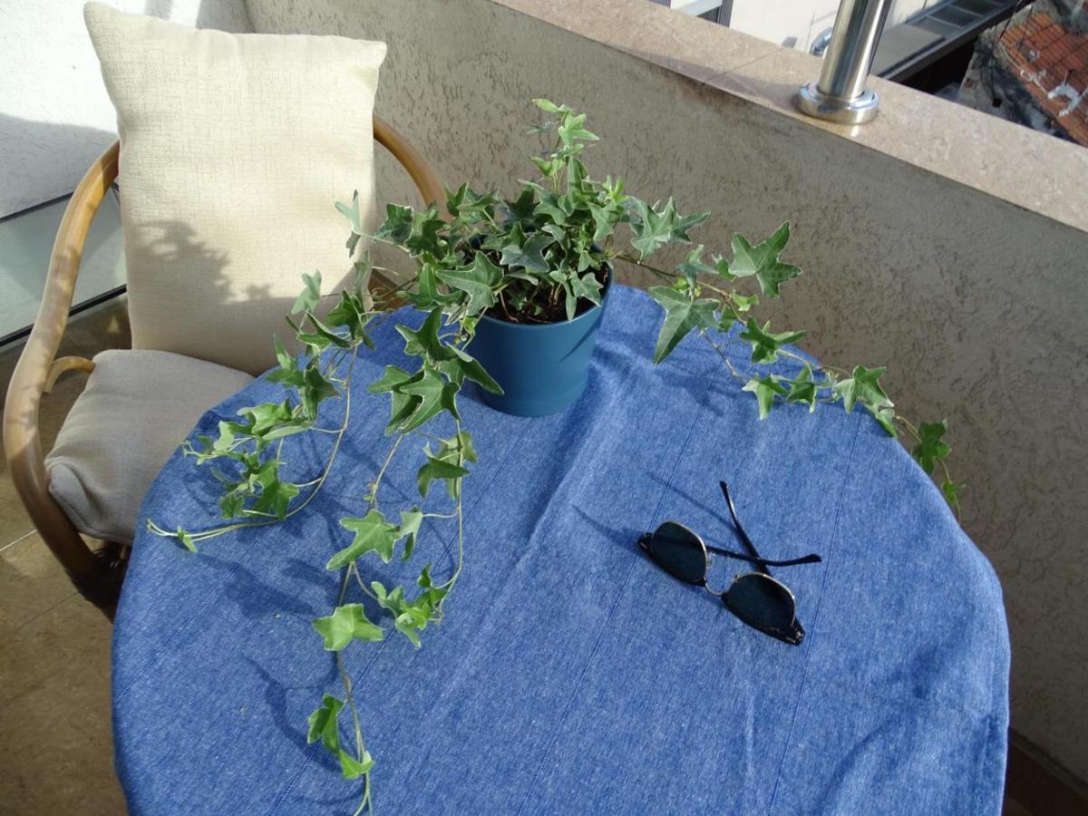 בלגרד Blue Apartment מראה חיצוני תמונה